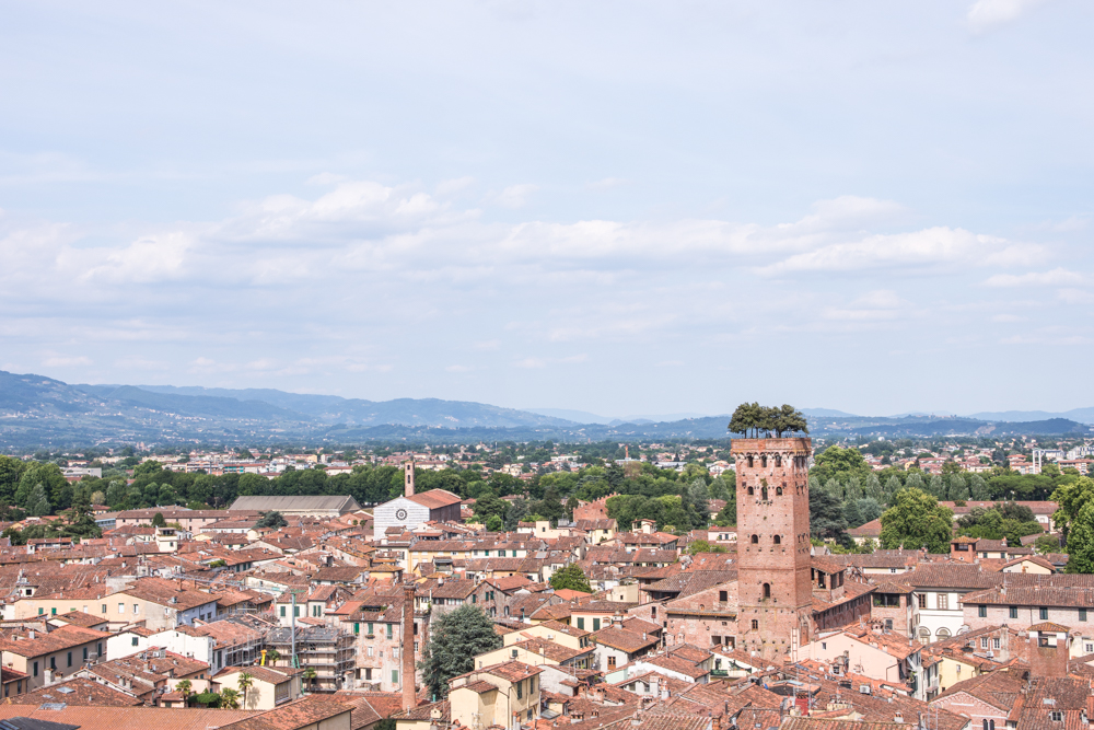 View from Torre delle Ore