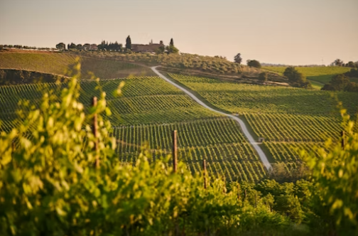 Tuscan countryside